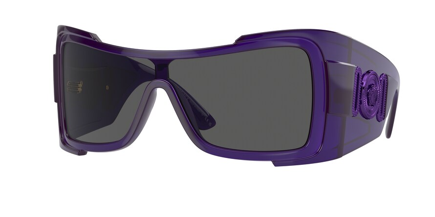 Purple best sale versace sunglasses