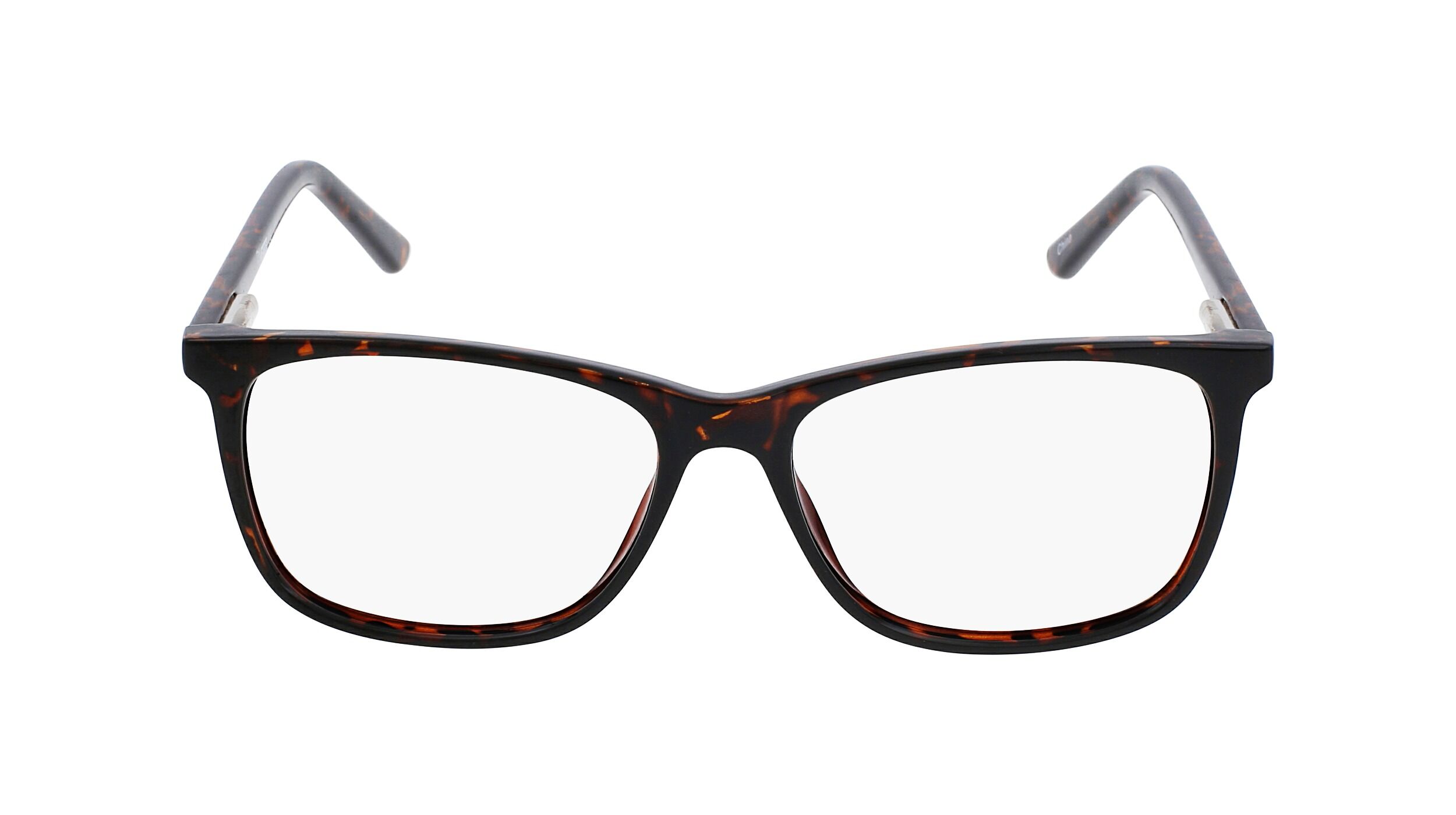PZOPTICAL_PZ1504-O-C2-53-16-145-Front