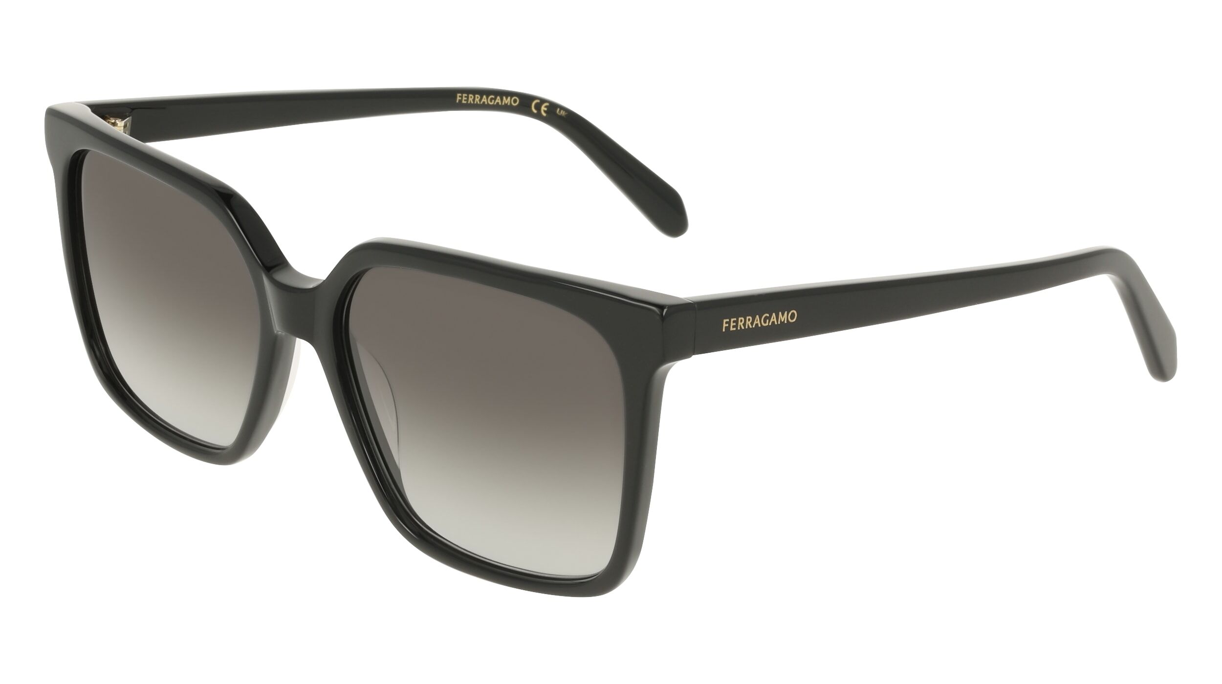 Salvatore Ferragamo Sf2102s