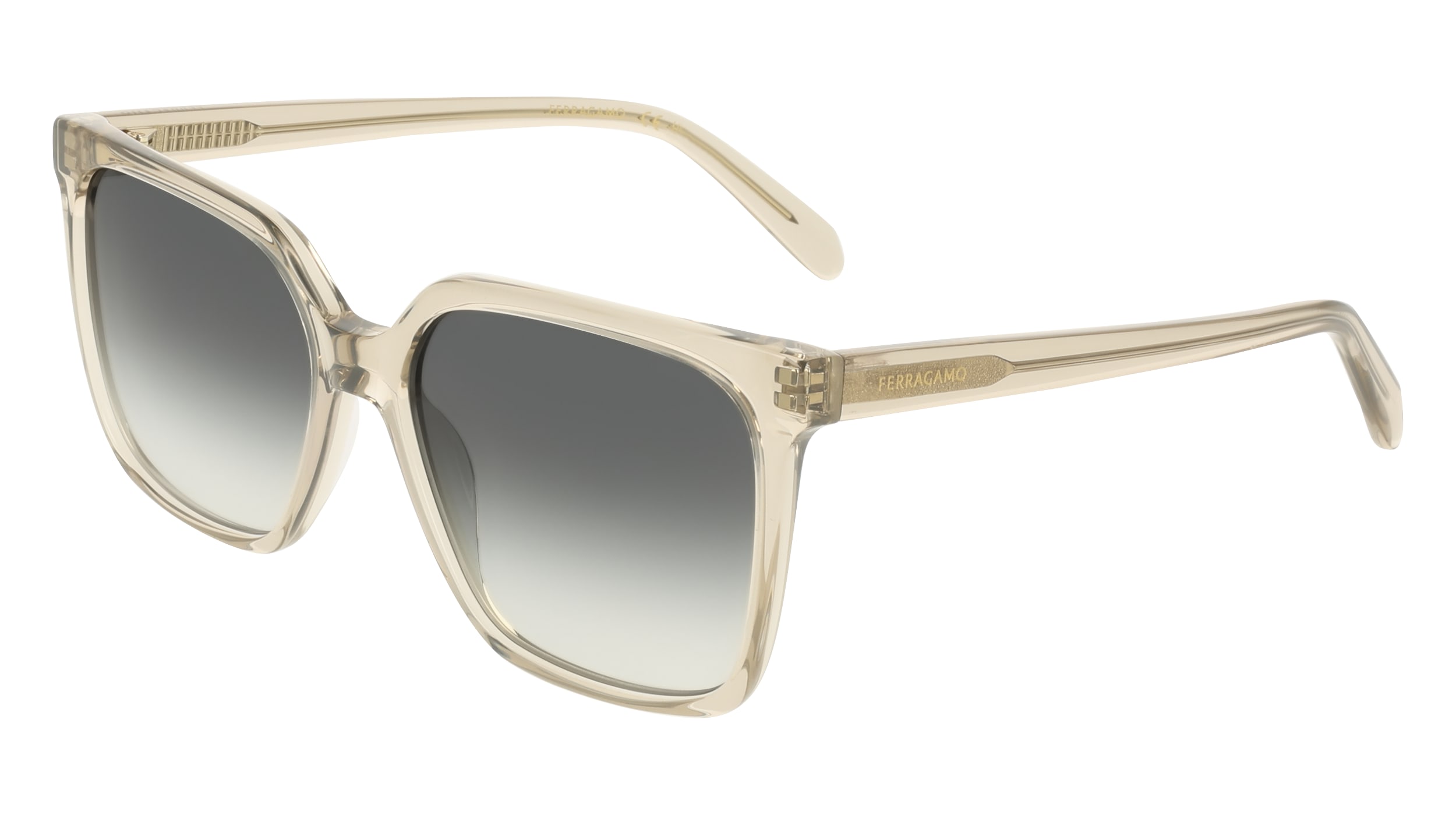 Salvatore Ferragamo Sf2102s