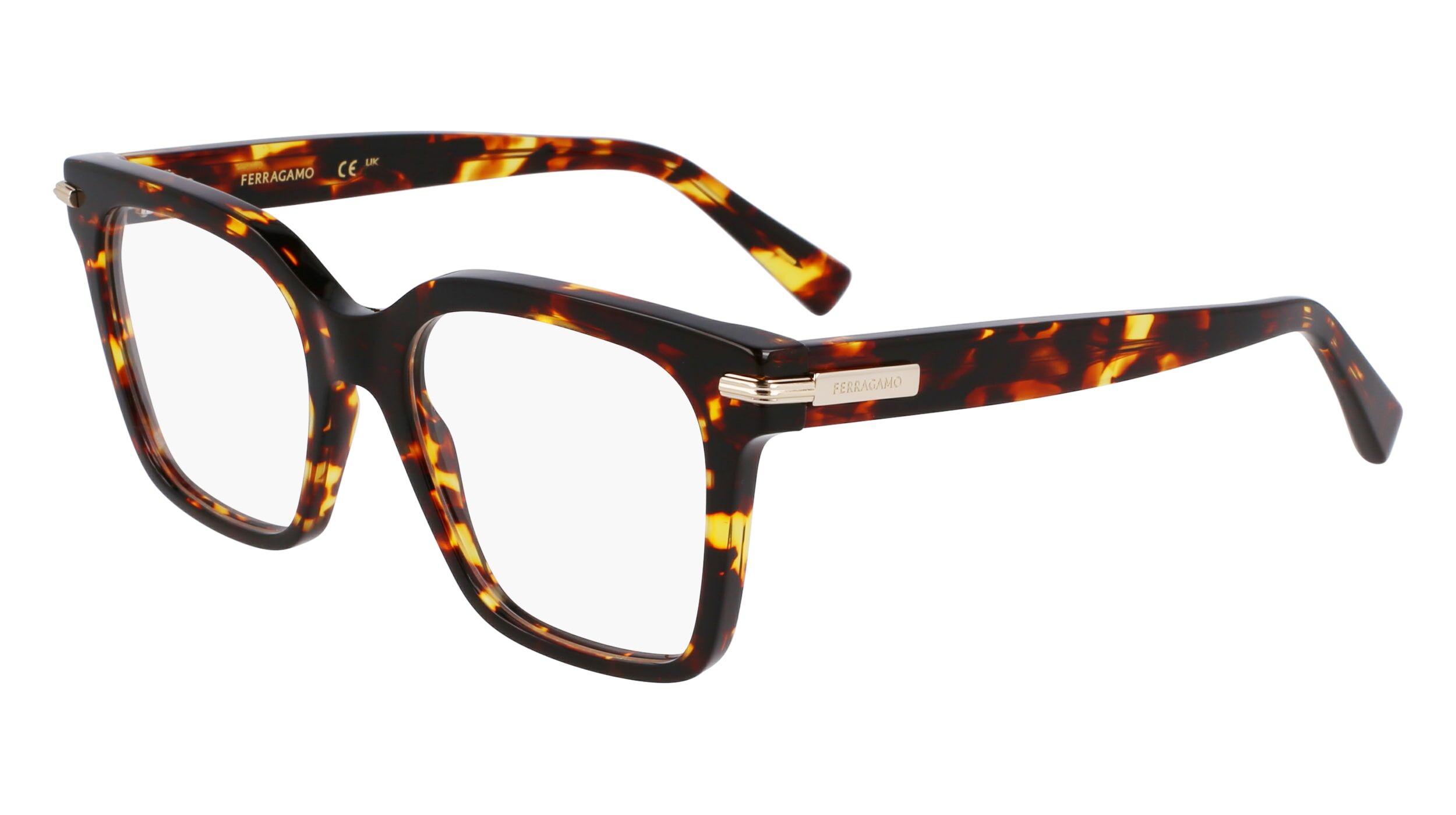 Salvatore Ferragamo Sf3009