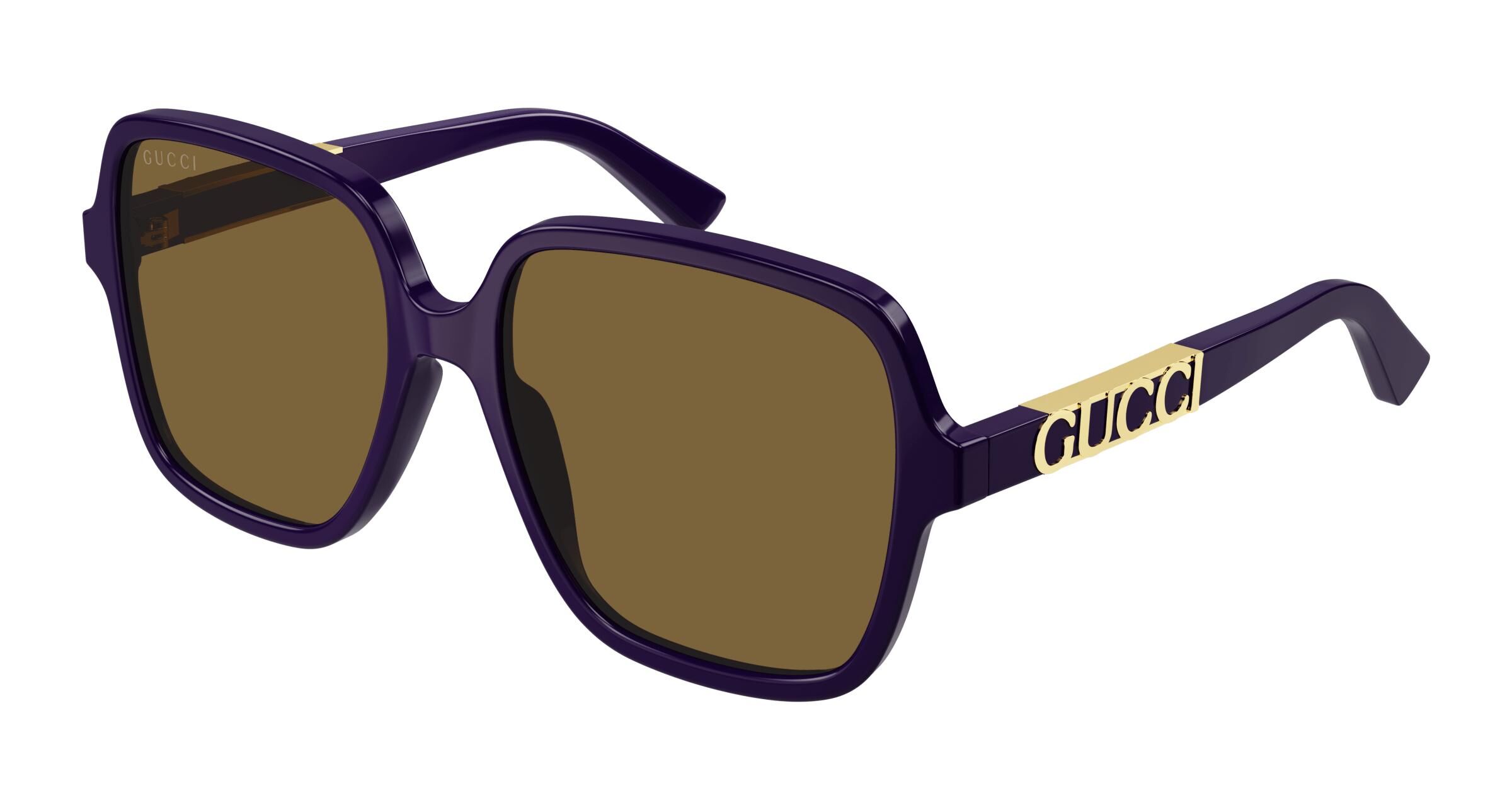 Gucci Institutional Logo Gg1189s