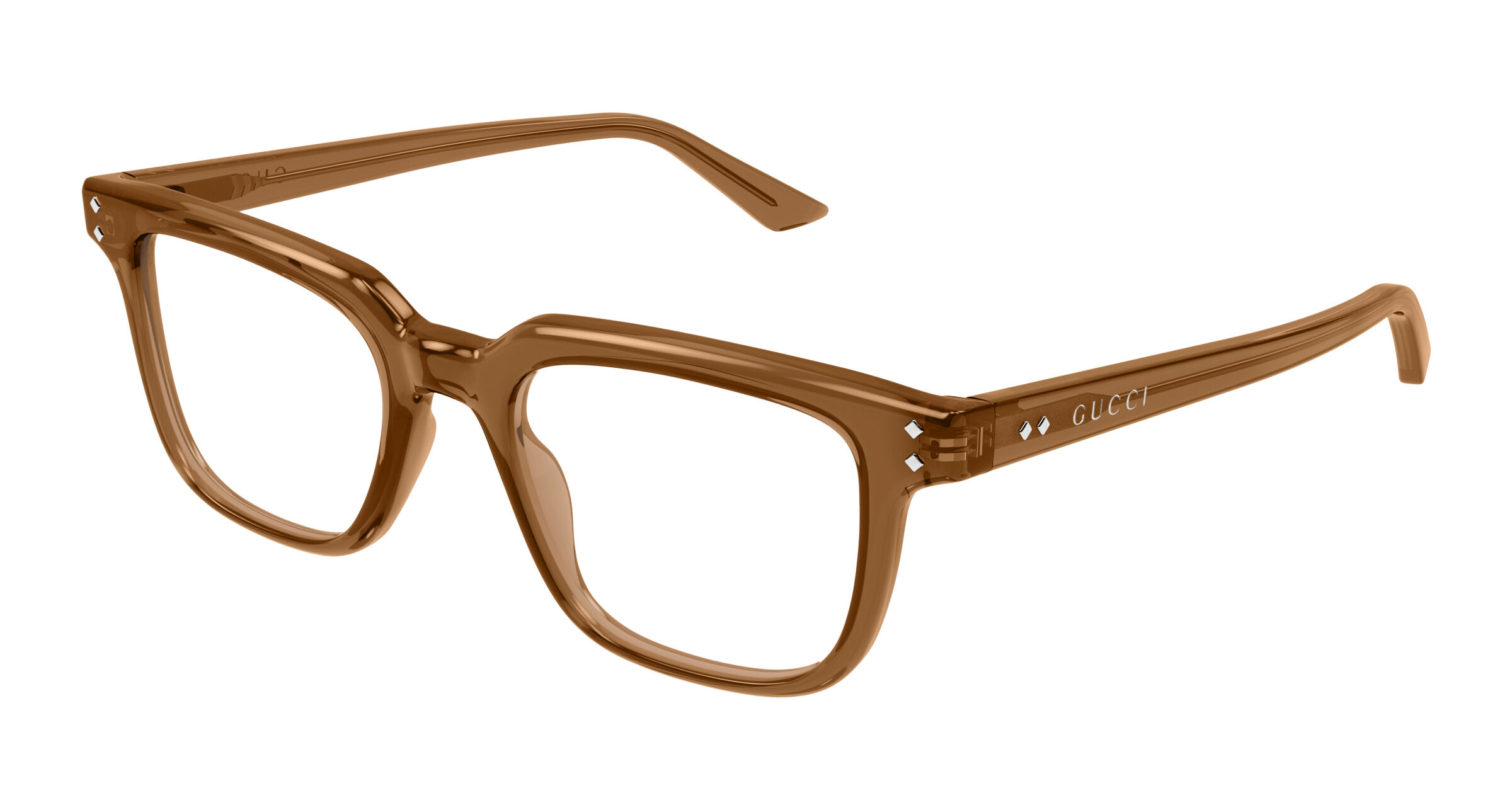 Gucci Institutional Logo Gg1895o