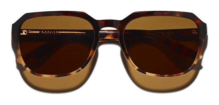 Moscot Haskel Sun