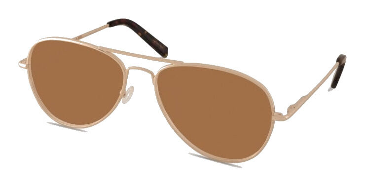 Moscot Jacob Sun