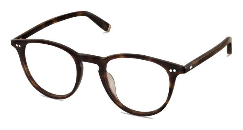 Moscot Jared