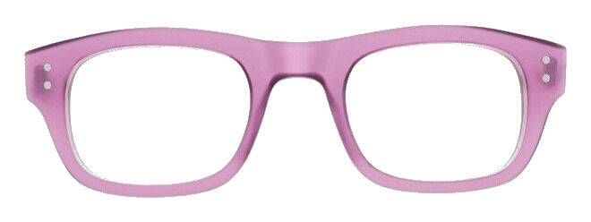 Moscot Nebb