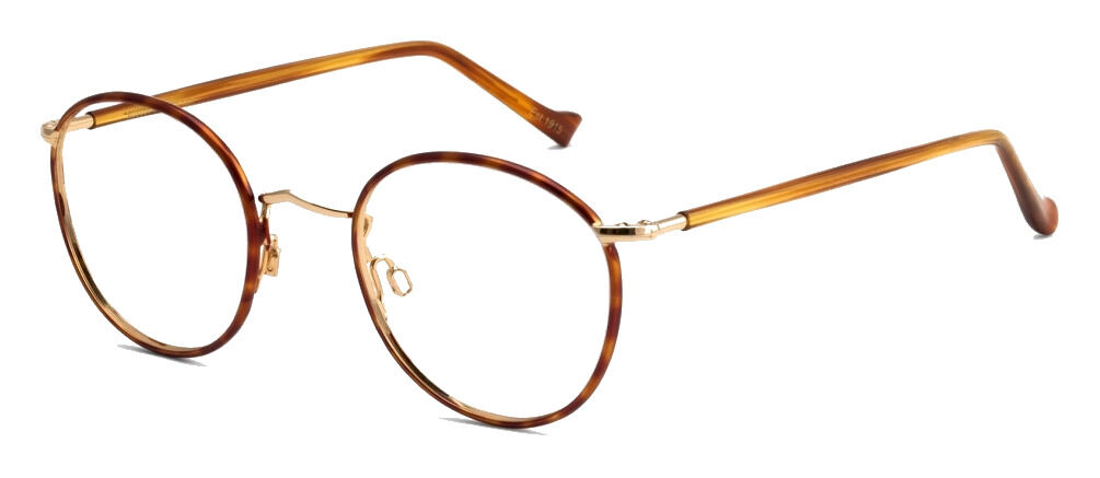 Moscot Zev