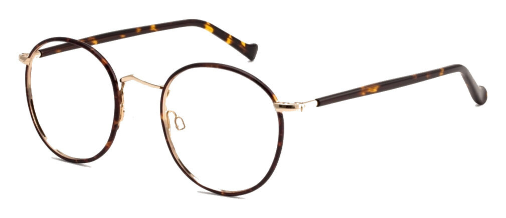Moscot Zev