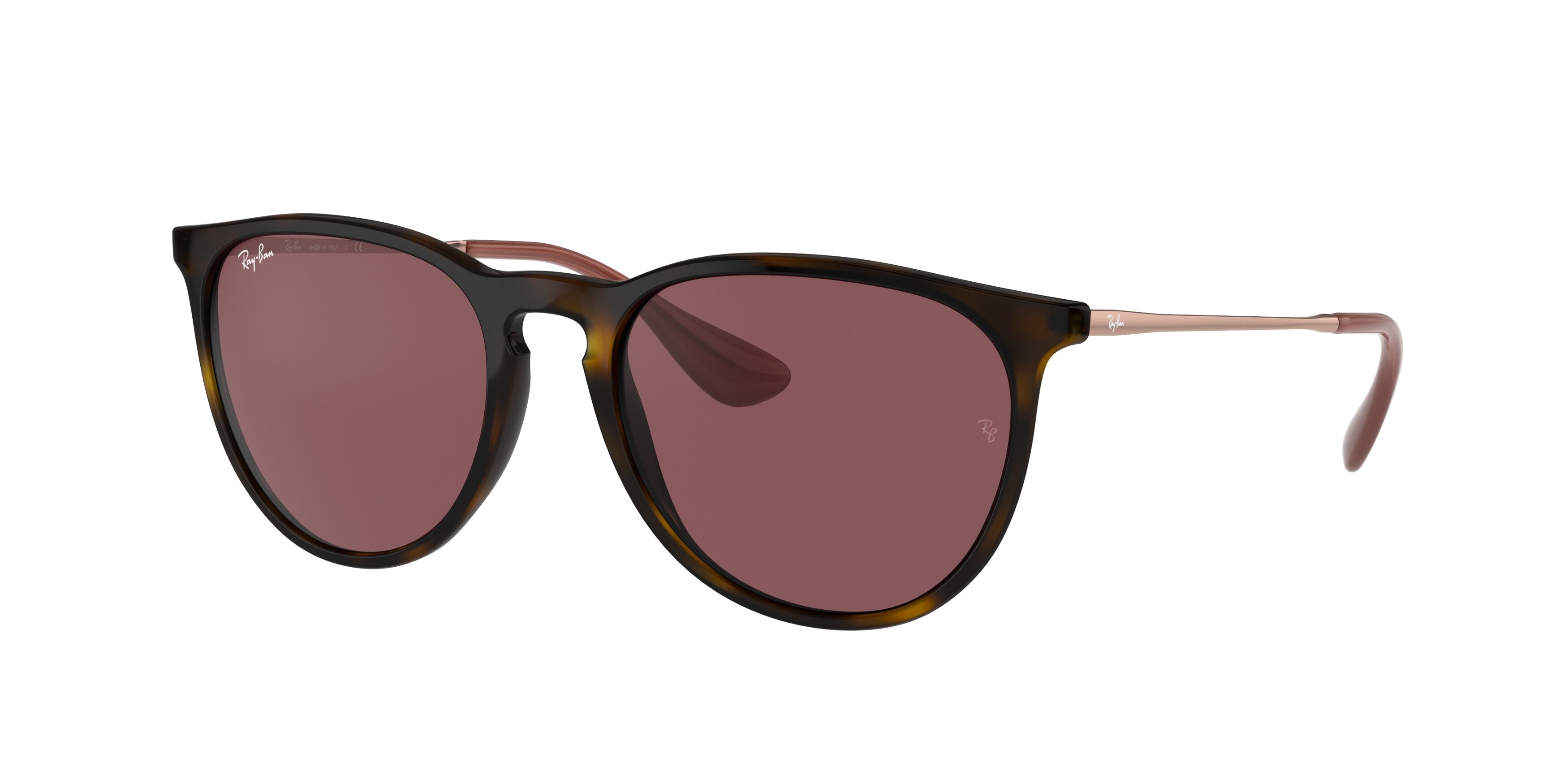 Ray-Ban Erika RB4171