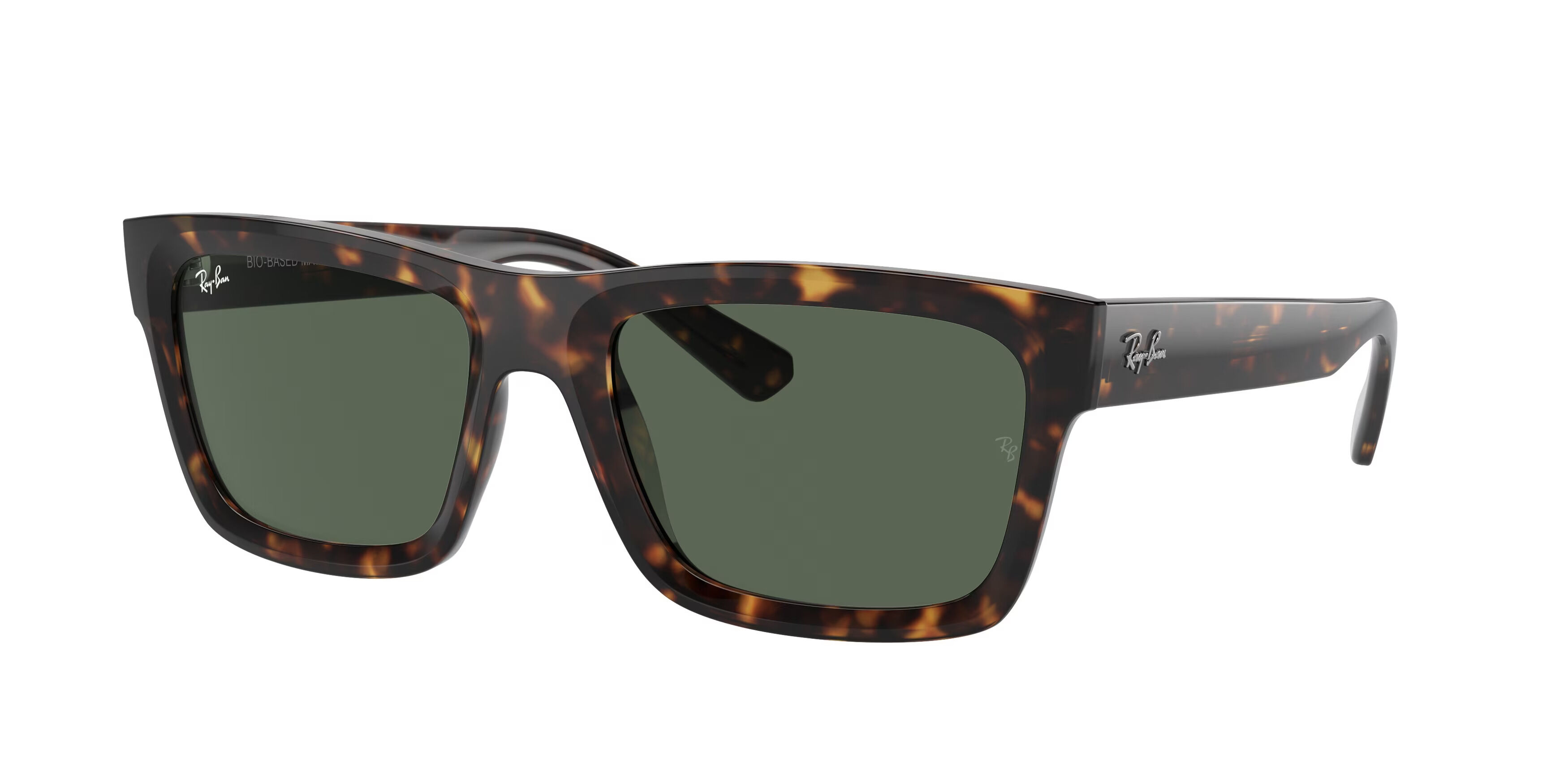Ray-Ban Warren RB4396