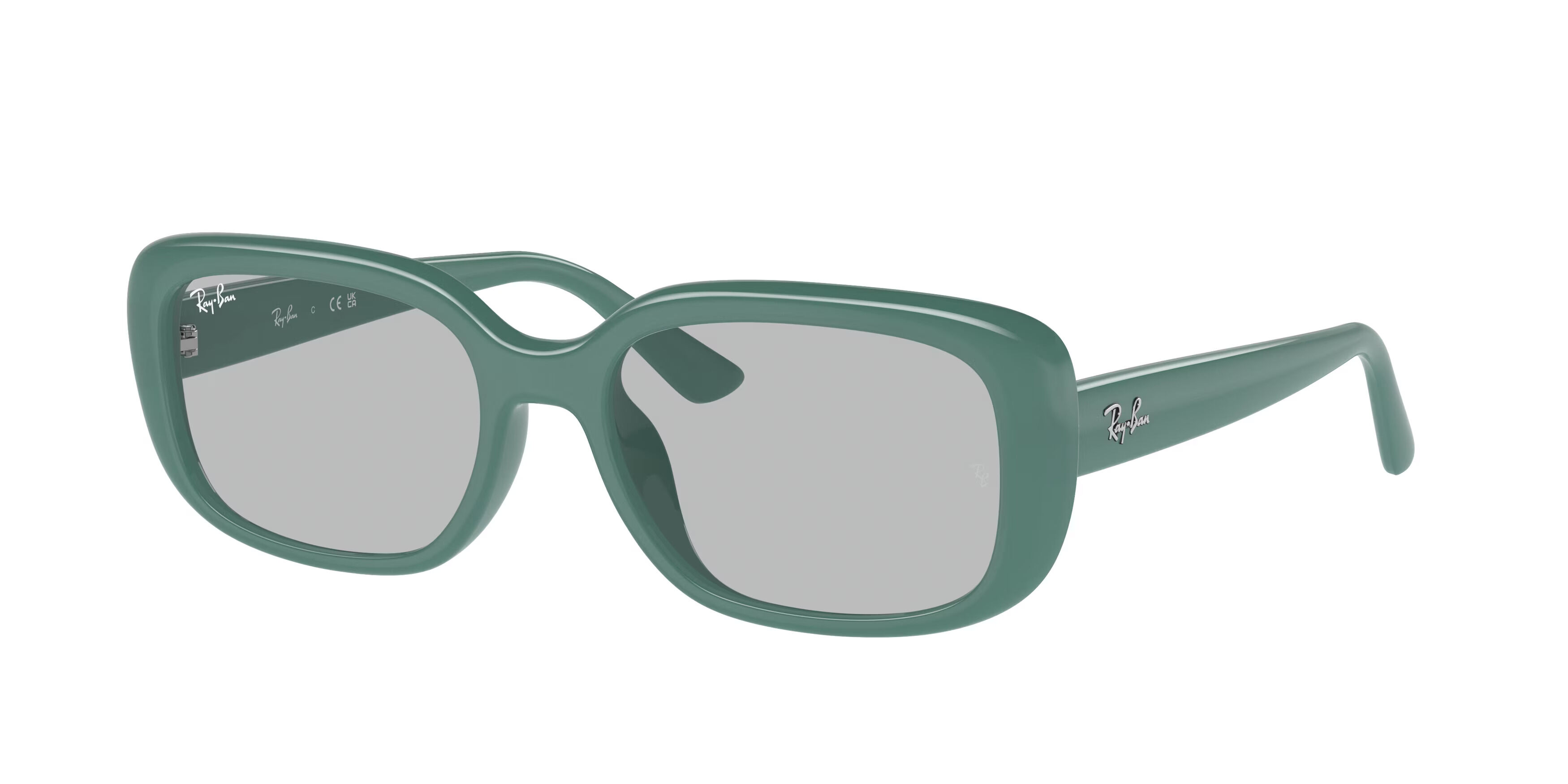Ray-Ban RB4421D