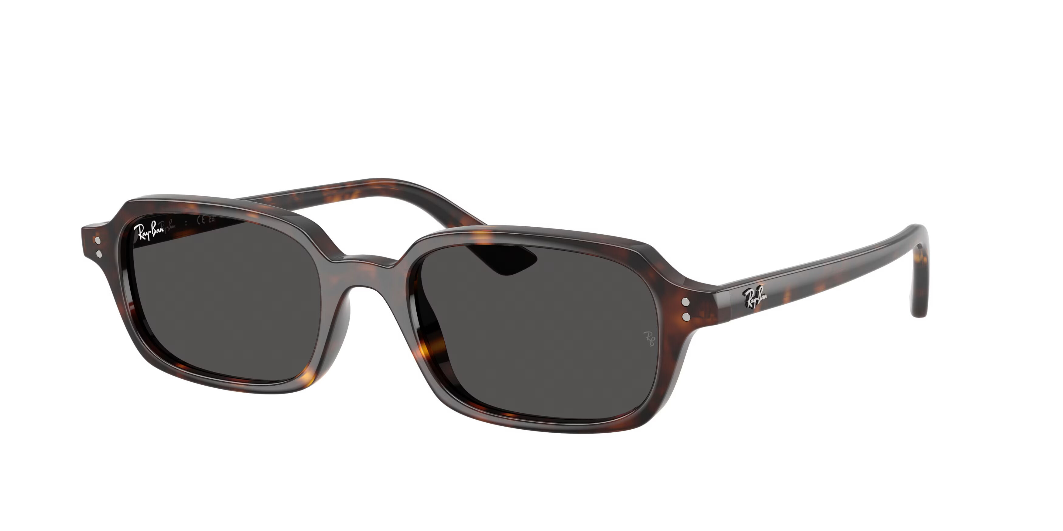 Ray-Ban Zuri RB4455