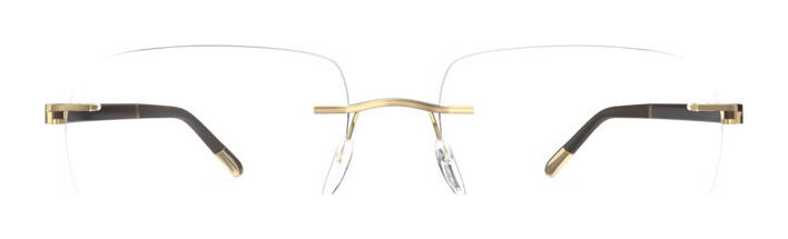 Silhouette Hinge C-2 5565