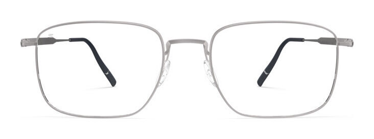 Silhouette Pure Visionary 5591