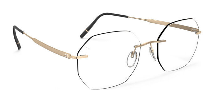 Silhouette The Timeless Visionary 5603