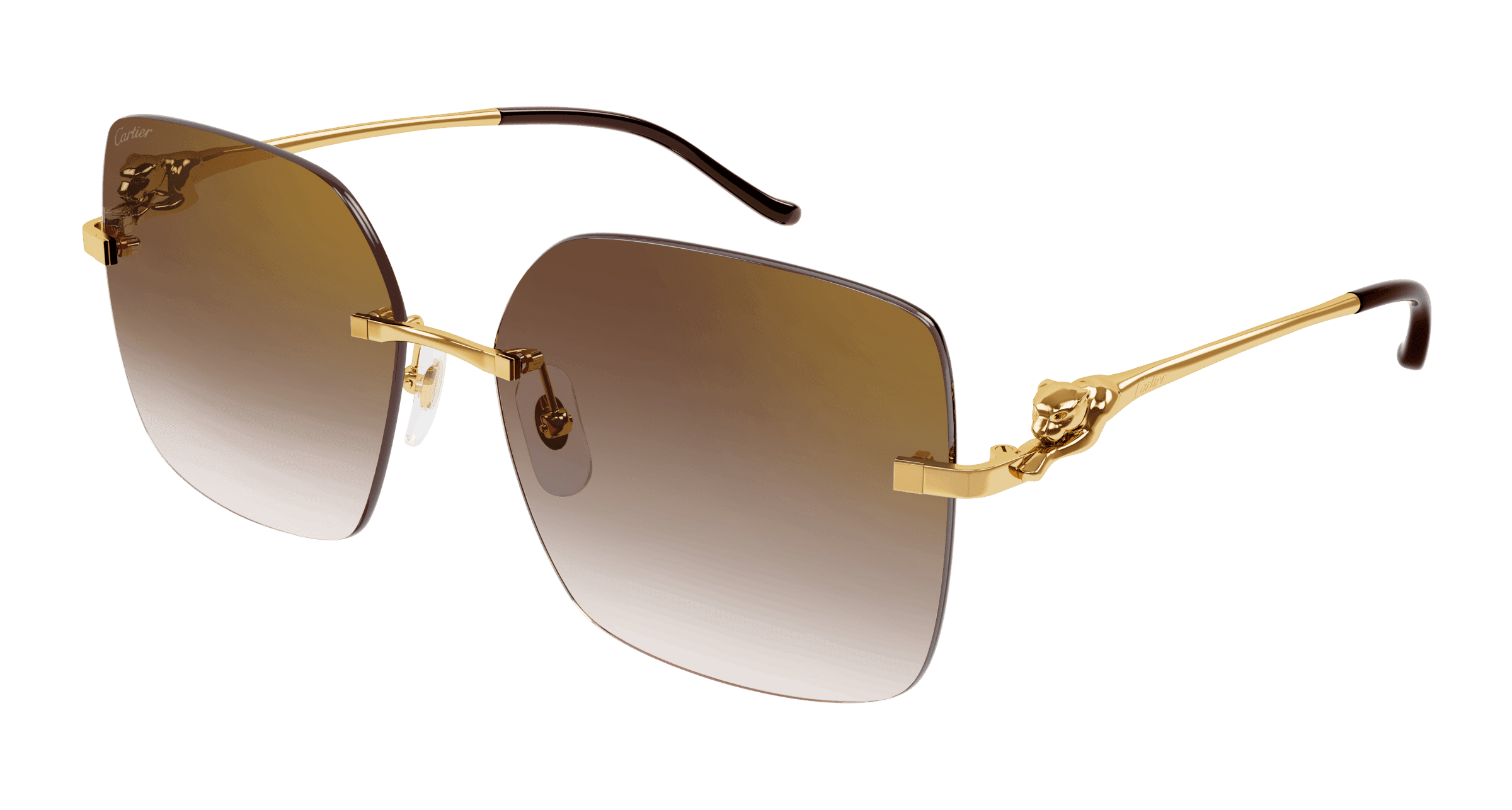 Cartier Core Range CT0359S
