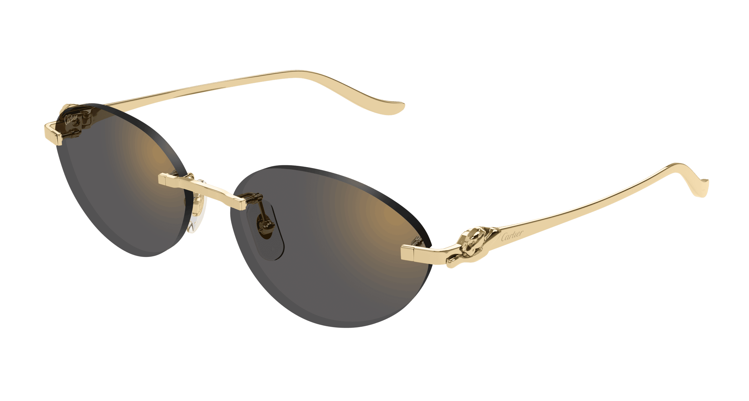 Cartier Core Range CT0504S
