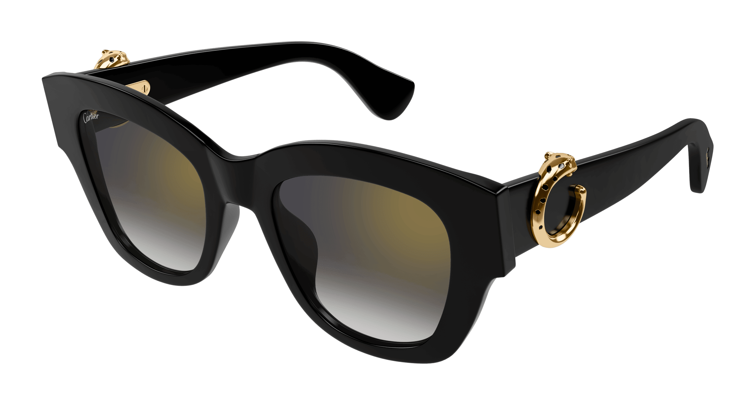 Cartier Core Range CT0547S