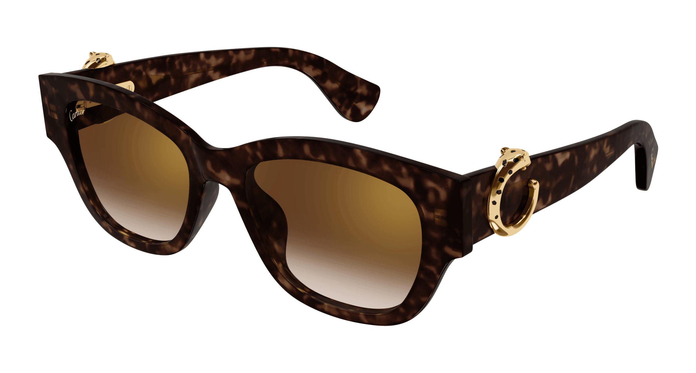 Cartier Core Range CT0548SA