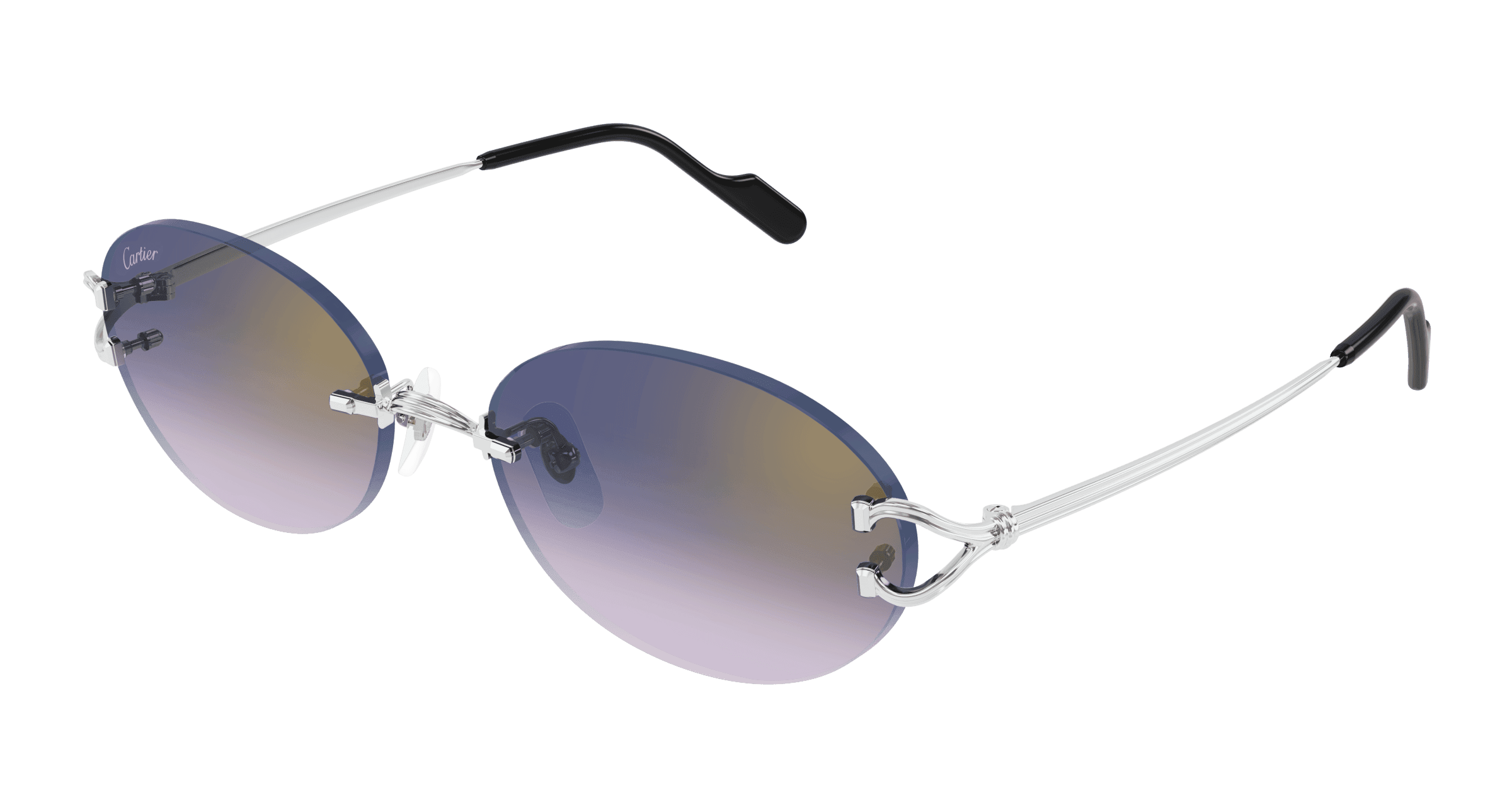 Cartier Core Range CT0551S