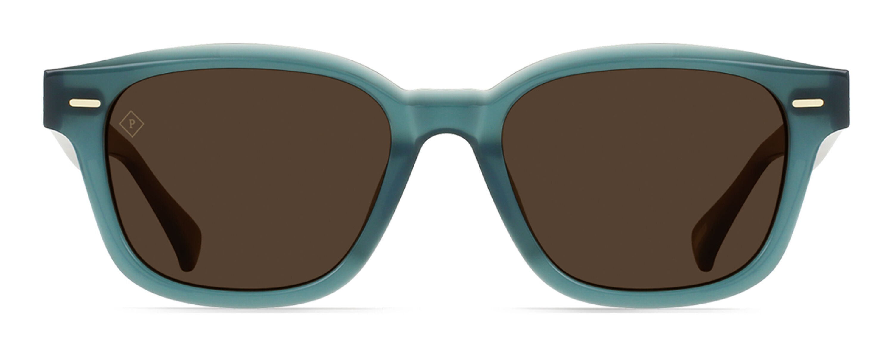 raen_carby_cirus___vibrant_brown_polarized_ref