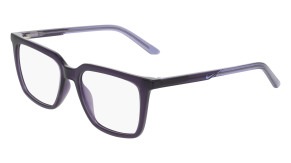nike_nike_7064_dark_raisn