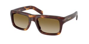 prada_0pr_d11s_15w20u_classic_tortoise