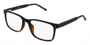 VISUALEYES_COMMUNITY-O-BLACKTORTOISE-54-18-145-Quarter