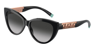 tiffany_0tf4196_80013c_black