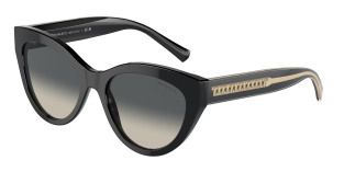 tiffany_0tf4220_800171_black