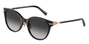 tiffany_0tf4223d_80013c_black