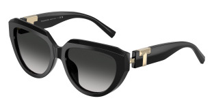 tiffany_0tf4238u_80013c_black