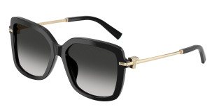 tiffany_0tf4252b_80013c_black