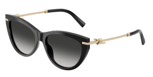 tiffany_0tf4253_80013c_black