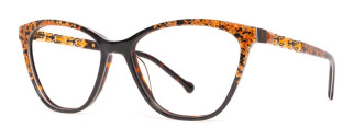 coco_song_play_girl_black_and_orange