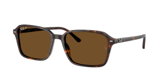 rayban_0rb2231_902_57_havana_polarized