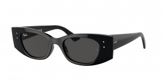 rayban_0rb4427_667787_black