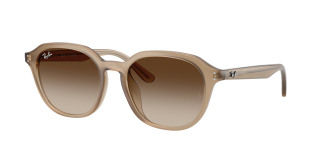 rayban_0rb4459d_616613_turtledove