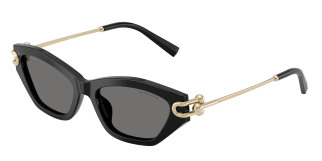 tiffany_0tf4231u_800181_black_polarized