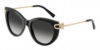 tiffany_0tf4232_80013c_black