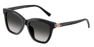 tiffany_0tf4241d_80013c_black