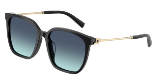 tiffany_0tf4244d_80019s_black
