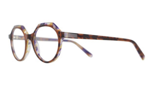 vanni_147_brown_purple_havana