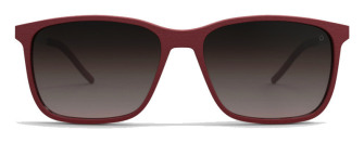 gotti_urbino_sun_ruby