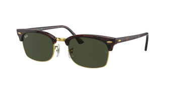 rayban_0rb3916_130431_tortoise