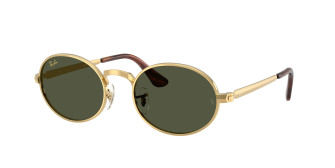 rayban_0rb3931_001_31_arista_gold