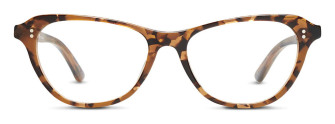salt_sandia_autumn_tortoise