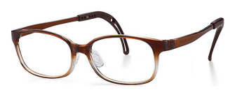 tomato_taac3_brown