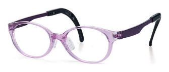 tomato_tjdc12_purple